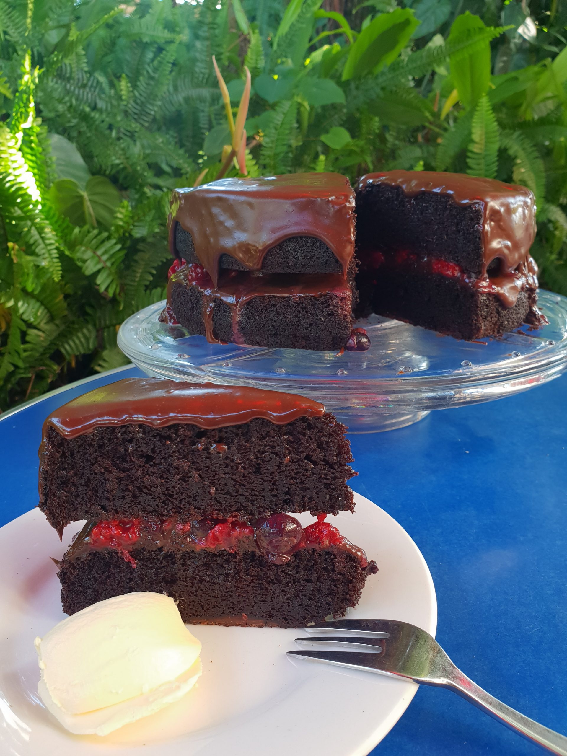 20190221_091821 Kuranda