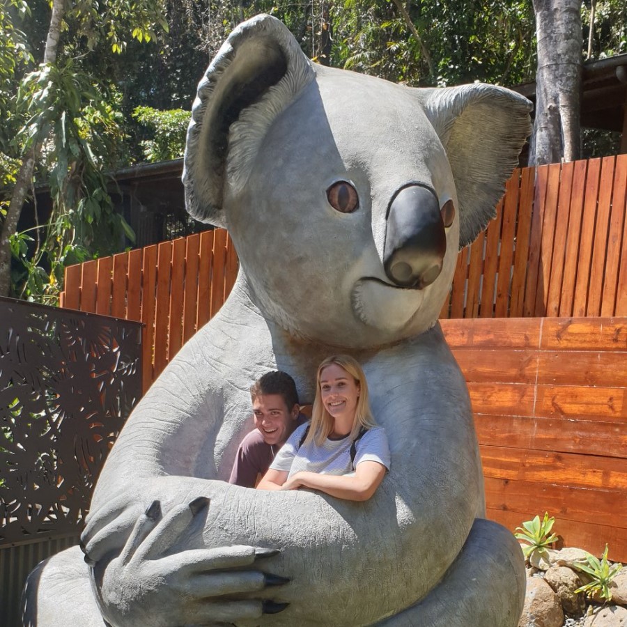 Koala sculpture Kozilla at Kuranda Koala Gardens
