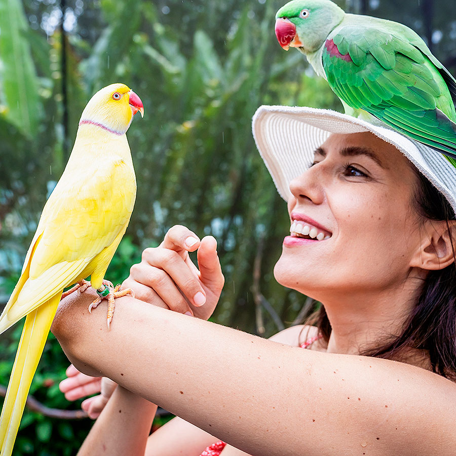 Birdworld Kuranda Village in the Rainforest Open Daily