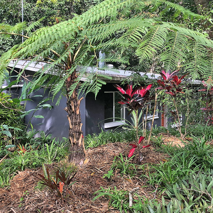 Honeybee House Kuranda Self Contained